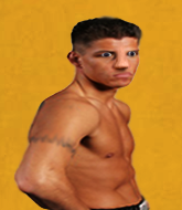 Mixed Martial Arts Fighter - Teofomo Laurez 
