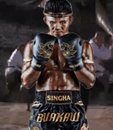 Mixed Martial Arts Fighter - Buakaw Singha