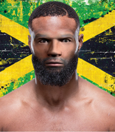 Mixed Martial Arts Fighter - Teron  Steeley