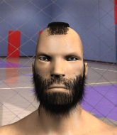 Mixed Martial Arts Fighter - Heroic Barbarian