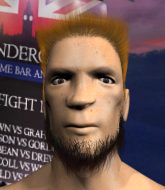 Mixed Martial Arts Fighter - Waine Bitterhall