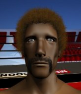 Mixed Martial Arts Fighter - Fred Doo