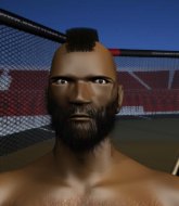 Mixed Martial Arts Fighter - Johnny McSwaggins