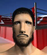 Mixed Martial Arts Fighter - Louis Cleaver