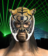 Mixed Martial Arts Fighter - Tiger Mask