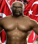 Mixed Martial Arts Fighter - Ramazan  Temel