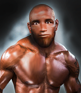 Mixed Martial Arts Fighter - Luivel Romero