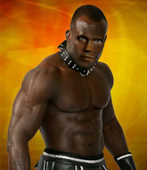 Mixed Martial Arts Fighter - Junior Harris