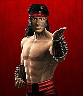 Mixed Martial Arts Fighter - Liu Kang