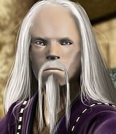 Mixed Martial Arts Fighter - Maxim Kukharev