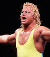 Mixed Martial Arts Fighter - Curt  Hennig 