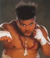 Mixed Martial Arts Fighter - David  Tua 