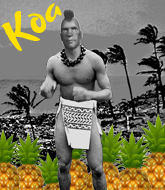 Mixed Martial Arts Fighter - Akamai Hoi