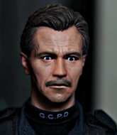 Mixed Martial Arts Fighter - James Gordon