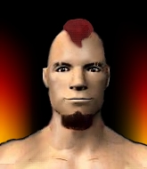 Mixed Martial Arts Fighter - Elvis Halloran