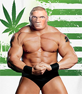 Mixed Martial Arts Fighter - Nick Weedamins