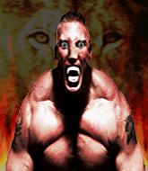 Mixed Martial Arts Fighter - Shawn Saban