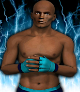 Mixed Martial Arts Fighter - Lamont  Banner 
