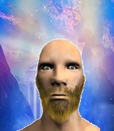 Mixed Martial Arts Fighter - Dridyn Berethi