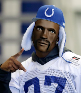 Mixed Martial Arts Fighter - Reggie Harrison