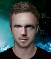 Mixed Martial Arts Fighter - Jesse Pinkman