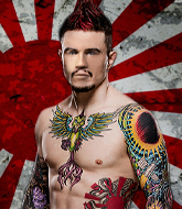 Mixed Martial Arts Fighter - Hiroshima Nagasaki