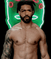 Mixed Martial Arts Fighter - Lucretinaus Olcinius