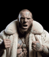 Mixed Martial Arts Fighter - Nedjeljko Krajisnik