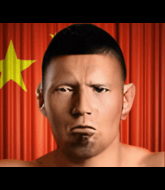 Mixed Martial Arts Fighter - Chengji Li