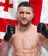 Mixed Martial Arts Fighter - Giorgi Davit