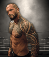 Mixed Martial Arts Fighter - Dragul Draghi