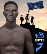 Mixed Martial Arts Fighter - King Watts