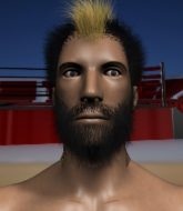 Mixed Martial Arts Fighter - Ceasar Rules