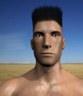 Mixed Martial Arts Fighter - Giovanni Gomes