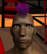 Mixed Martial Arts Fighter - Lemon Grubb