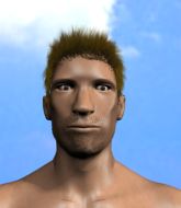 Mixed Martial Arts Fighter - Adam  Silesio