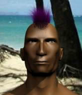 Mixed Martial Arts Fighter - Ze Buceta