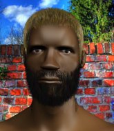 Mixed Martial Arts Fighter - Liu Kang