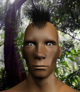Mixed Martial Arts Fighter - Steven Wallace