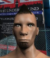 Mixed Martial Arts Fighter - Luca Lanz