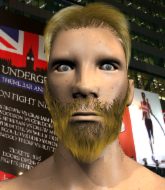 Mixed Martial Arts Fighter - Arthur Curry