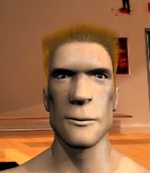 Mixed Martial Arts Fighter - Josh Watson