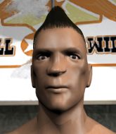 Mixed Martial Arts Fighter - Leo  Pirozhok