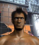 Mixed Martial Arts Fighter - Livver Sardino