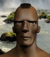 Mixed Martial Arts Fighter - Vicente Krueger