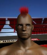 Mixed Martial Arts Fighter - Sticky Booger