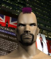 Mixed Martial Arts Fighter - Amir Sedaghat