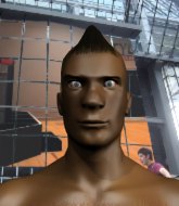 Mixed Martial Arts Fighter - Harry Bawls