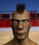 Mixed Martial Arts Fighter - Vladimir Zakherenkoff