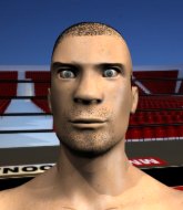Mixed Martial Arts Fighter - Ron Sinairo